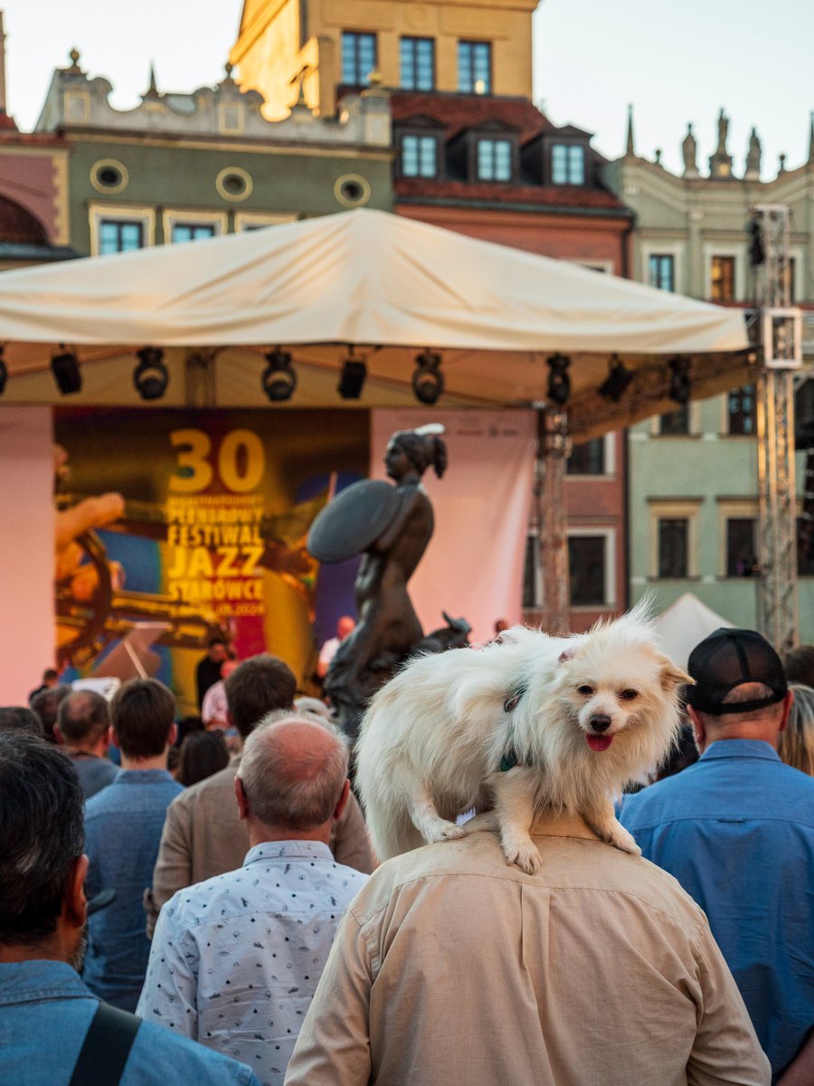 A już dziś o 19:00 rusza Międzynarodowy Plenerowy Festiwal Jazz na Starówce😍

Przybywajcie na Rynek Starego Miasta na #koncert „A Strory of Polish Jazz”🎺🎹

Fot. Łukasz Kopeć