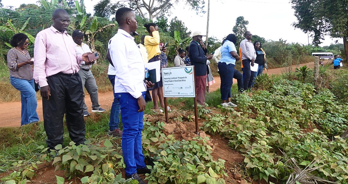 TeamUpUG's tweet image. It's been a powerful week with district & CSO leaders from Mityana, Kassanda, Nakaseke, Kikuube & Kyegegwa visiting TeamUp sites. Youth-led initiatives on FP, GBV prevention, climate action & businesses. Feedback & midterm results shared to shape next steps!