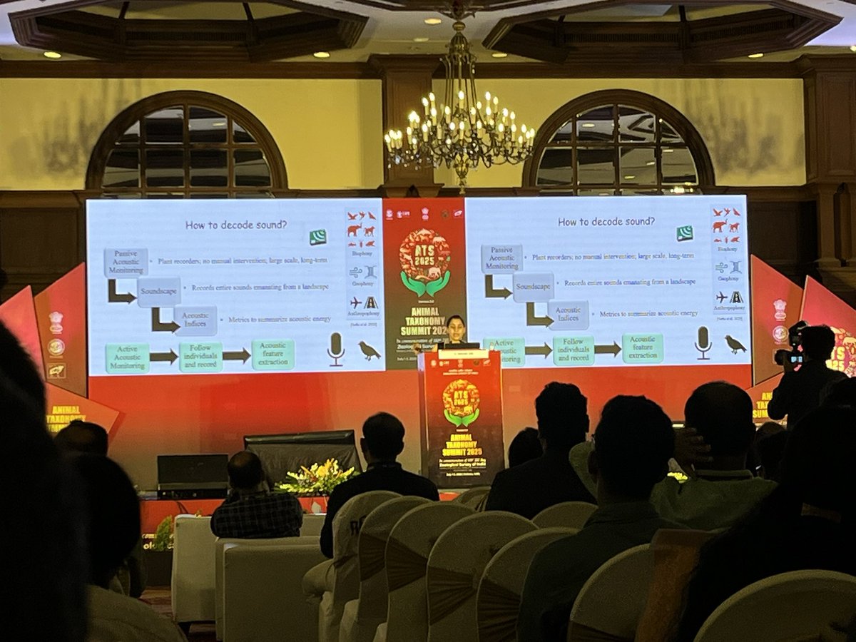 profrahulk's tweet image. I attended a wonderful lecture on “bioacoustics in monitoring biodiversity and behaviour” by Dr. Manjari Jain, Associate Professor (Biology), @IiserMohali at Animal Taxonomy Summit 2025 organized by Zoological Survey of India, Kolkata.

@minivets @ZoologicalI @lab_behavioural