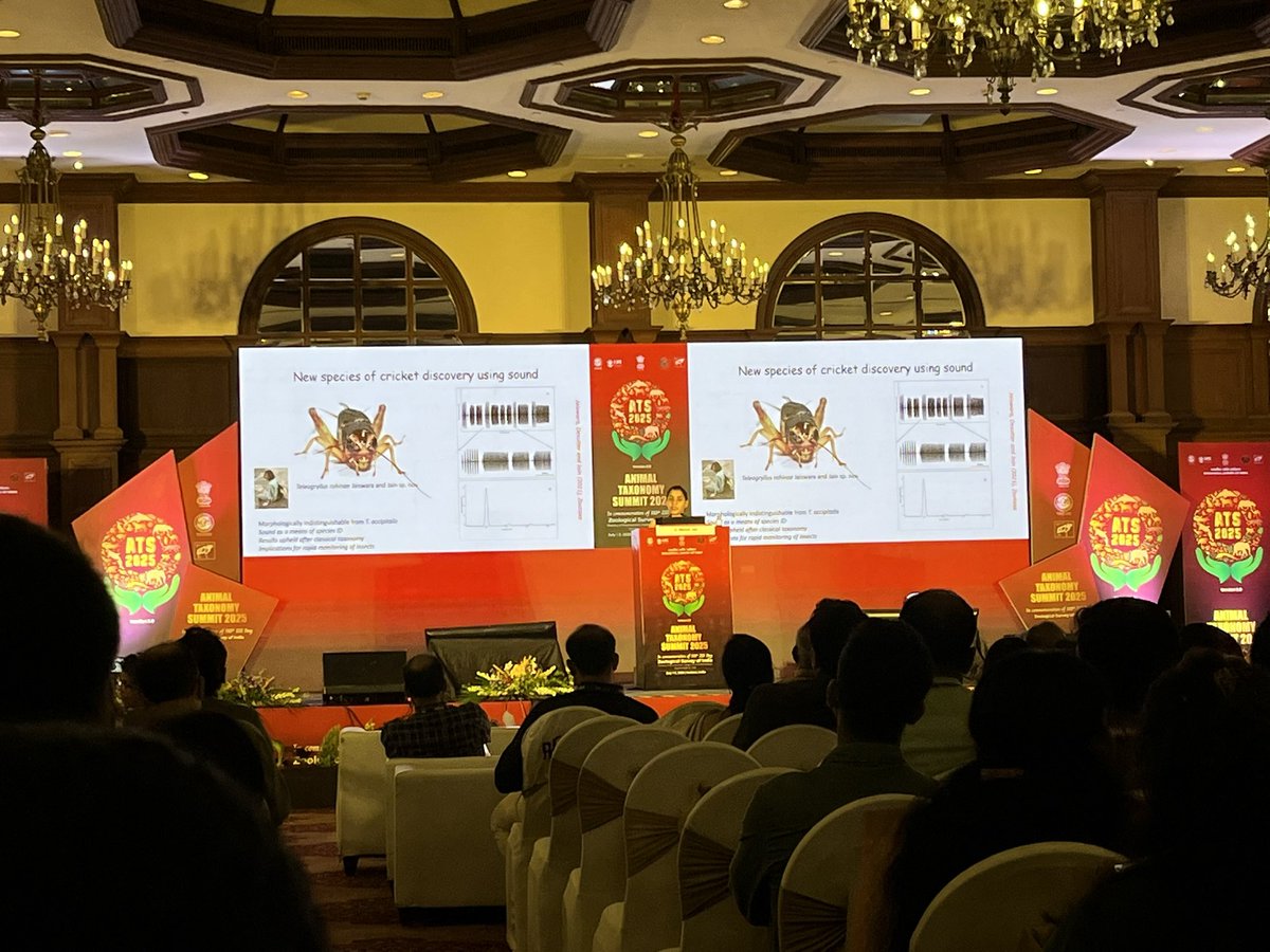 profrahulk's tweet image. I attended a wonderful lecture on “bioacoustics in monitoring biodiversity and behaviour” by Dr. Manjari Jain, Associate Professor (Biology), @IiserMohali at Animal Taxonomy Summit 2025 organized by Zoological Survey of India, Kolkata.

@minivets @ZoologicalI @lab_behavioural