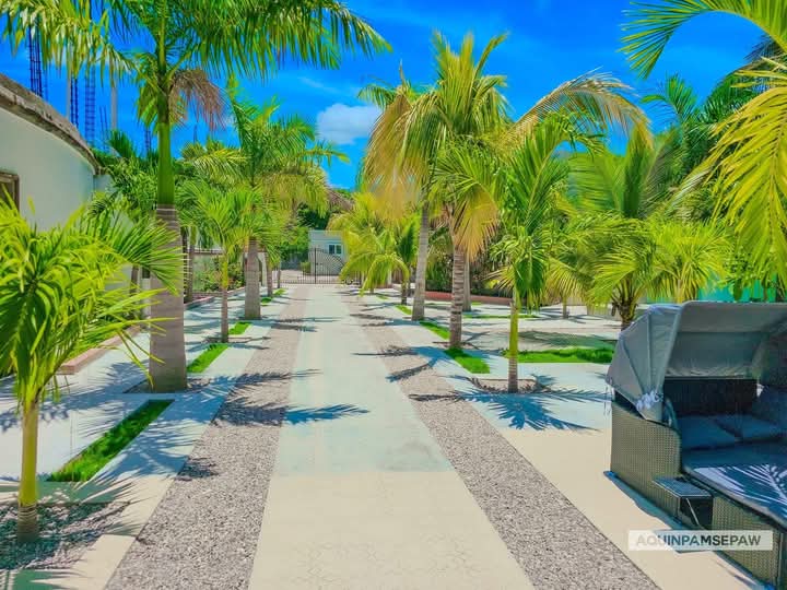 ImagesHT's tweet photo. PLAYA PISCINE  🏊‍♂️
Aquin, Cayes, Sud 
#Haïti 🇭🇹 https://t.co/JY8CLeTtbR