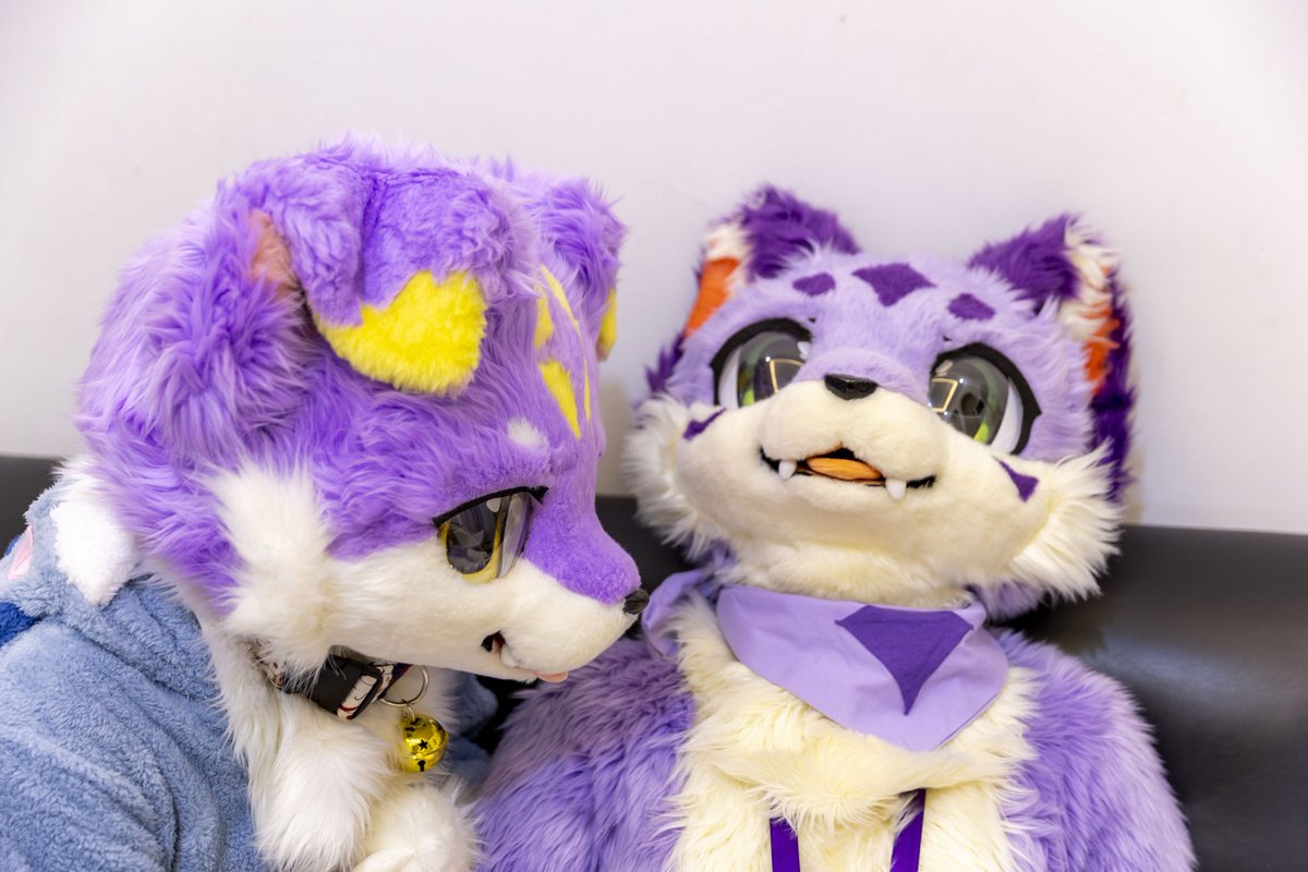 看起来很安详，其实已经走了有一会了

🍇🐶：<a href="/Zelim_00/">梓鳞Zelim</a> 
📷：<a href="/YiLong39420821/">逸龙有颗🍅</a>