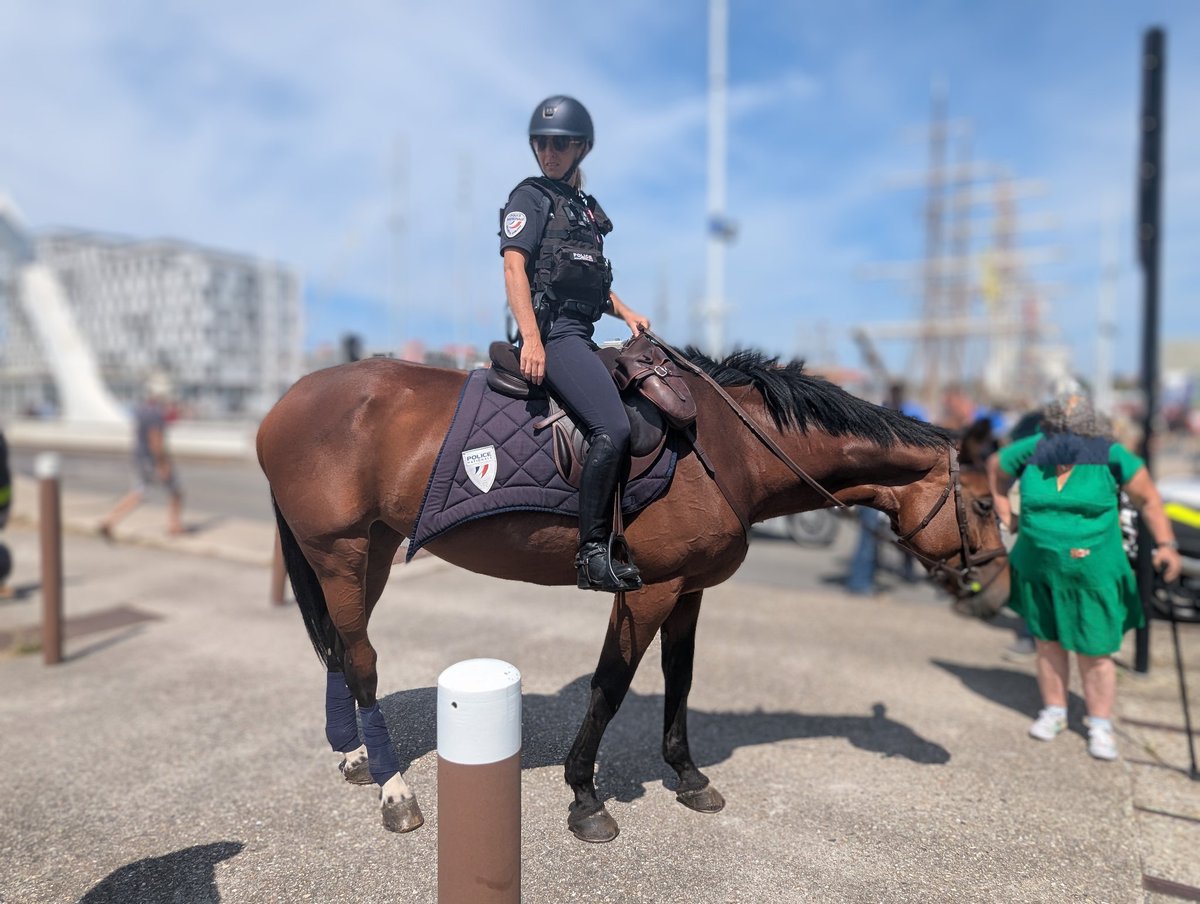 👮‍♀️🐎🚨
Dans la <a href="/PoliceNationale/">Police nationale</a>, tu peux patrouiller à cheval comme en moto !
Aux Grandes Voiles #LeHavre, découvre la richesse de nos métiers et échange avec nos équipes !
📍 Stand ouvert jusqu’à dimanche
Rejoignez nous.