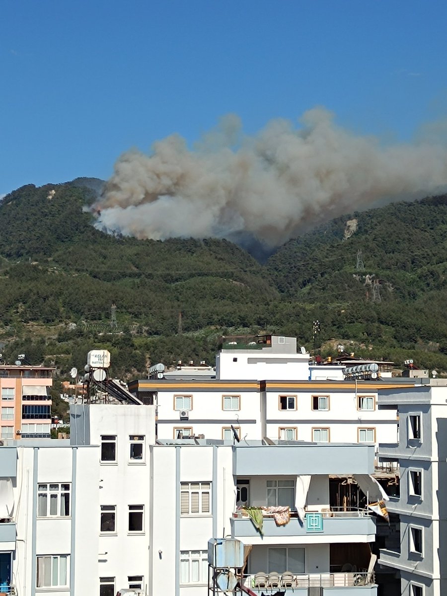 Hatay Dörtyol Amanos Dağlarında yangın çıktı, çok şiddetli rüzgar var acil müdehale edilmezse dağı hızlı bir şekilde küle çevirir, lütfen sesimizi duyurun❗
#yangın 
#hatay 
#HatayYanıyor 
#ACİL