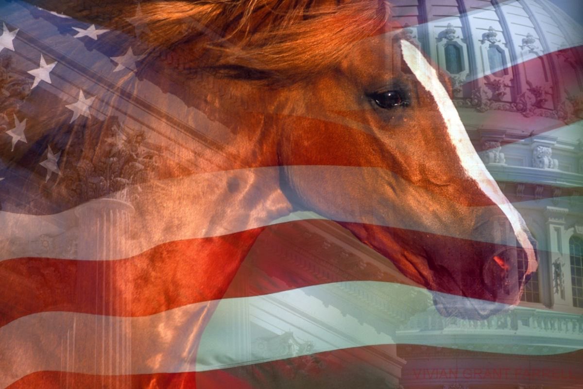 Good morning, Rebels. Have a great 4th of July! Stay safe &amp; keep your fur babies safe. God bless you &amp; God bless America! 🤗🙏🏻☕️❤️🤍💙🇺🇸 

2 Corinthians 3:17
“Now the Lord is the Spirit, and where the Spirit of the Lord is, there is freedom.”✝️🙏🏻