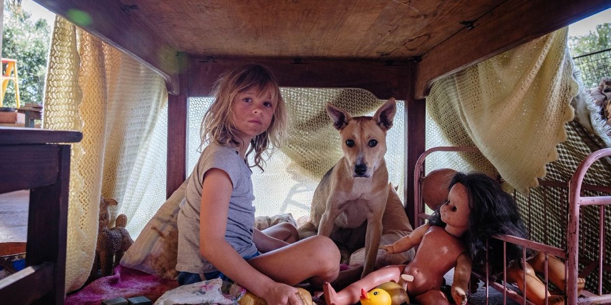 Joyce Kulhawik (@joycekulhawik) on Twitter photo FREE ADVANCE JoycesChoices SCREENING of touching memoir "Don't Let's Go To The Dogs Tonight"
joyceschoices.com/free-advance-s⦠@bofca <a href="/TheBSFC/">Boston Society of Film Critics</a> @FLickwish @Filmfish <a href="/BetterAfter50/">Better After 50</a> <a href="/BostonCalendar/">BostonCalendar</a> <a href="/CultureShowGBH/">The Culture Show | GBH</a> <a href="/SimmonsLeads/">Institute for Inclusive Leadership</a> FREE ADVANCE JoycesChoices SCREENING of touching memoir "Don't Let's Go To The Dogs Tonight"
joyceschoices.com/free-advance-s⦠@bofca <a href="/TheBSFC/">Boston Society of Film Critics</a> @FLickwish @Filmfish <a href="/BetterAfter50/">Better After 50</a> <a href="/BostonCalendar/">BostonCalendar</a> <a href="/CultureShowGBH/">The Culture Show | GBH</a> <a href="/SimmonsLeads/">Institute for Inclusive Leadership</a>