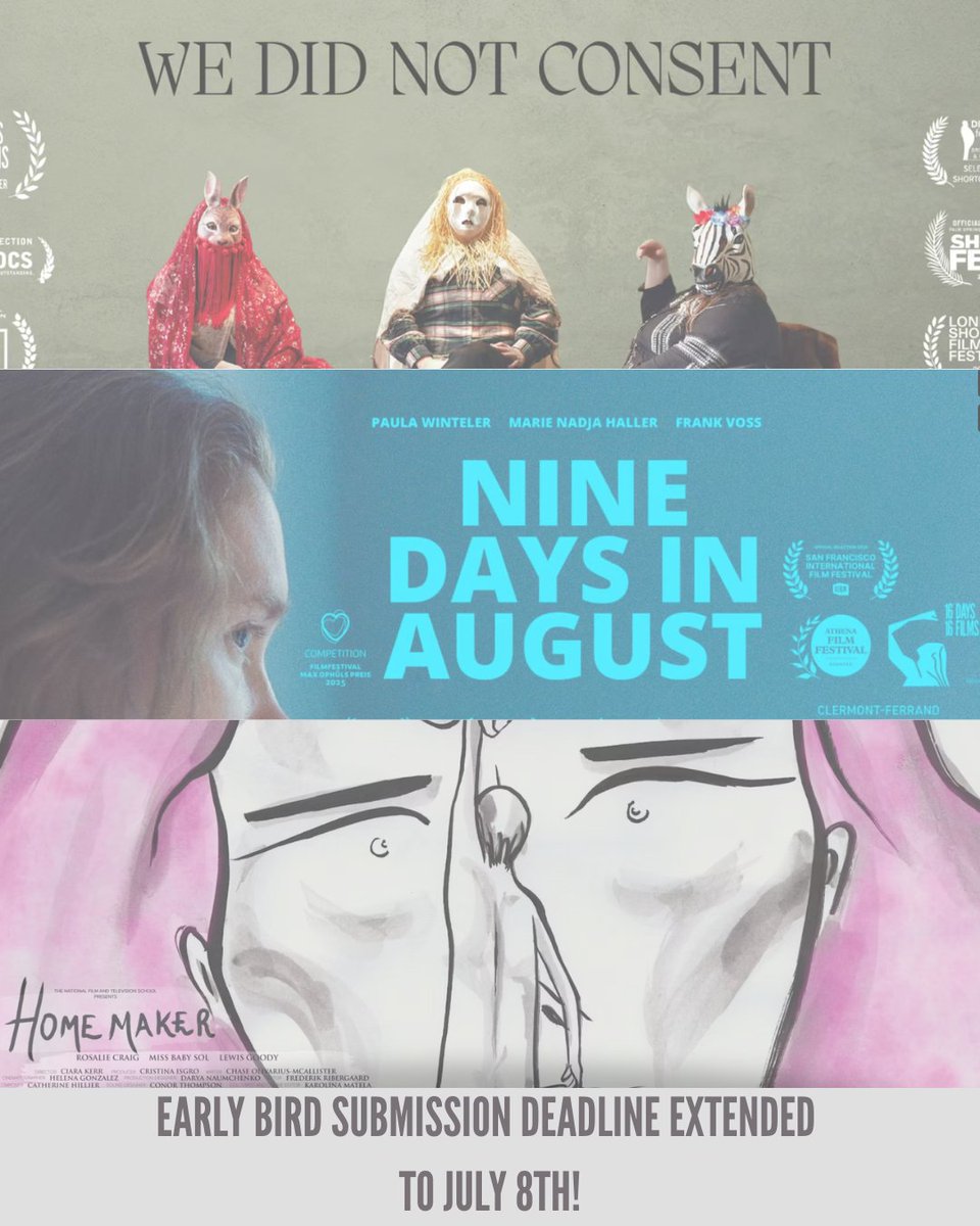 16 Days 16 Films tweet media