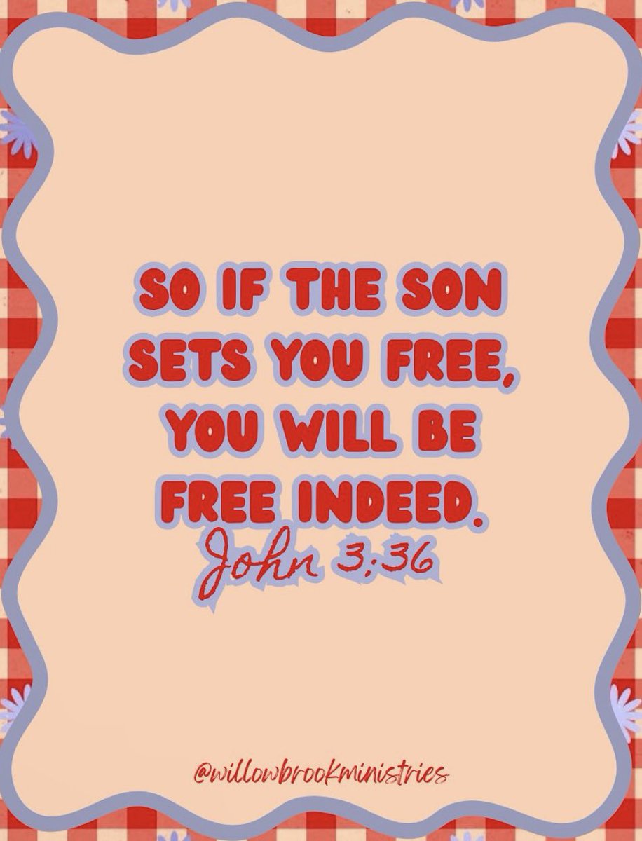 Mountainfarm6 tweet media