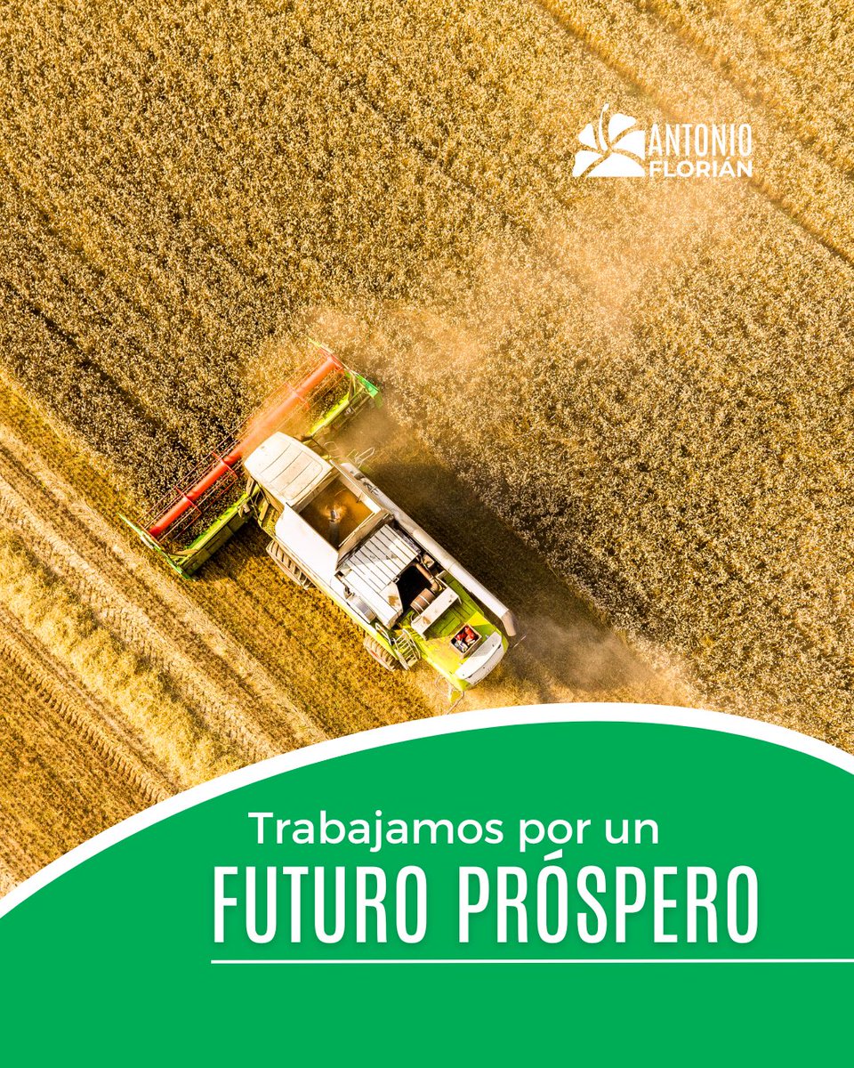 antonioflorian_'s tweet photo. Nuestra República Dominicana merece un cambio significativo para el progreso. Es tiempo de innovar, de crecer y de asegurar que el bienestar llegue a cada hogar dominicano.

#TransformandoRD #FuerzaDelPueblo #SecretarioGeneral #AntonioFlorián #PuebloDominicano https://t.co/CRfOviuygg