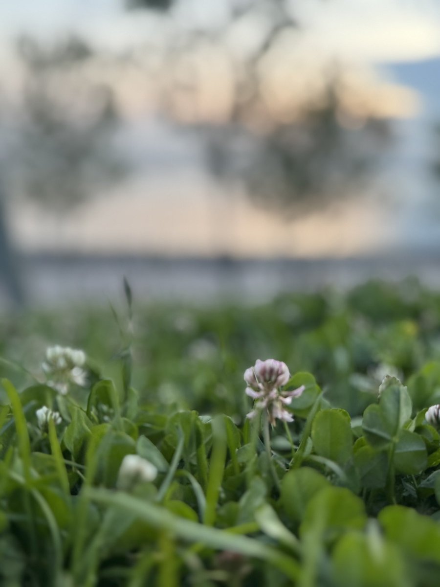 اللهُمَّ إرحمنَّا بَقدر حُبك لنَّا وَغفلتنَّا عَنك .