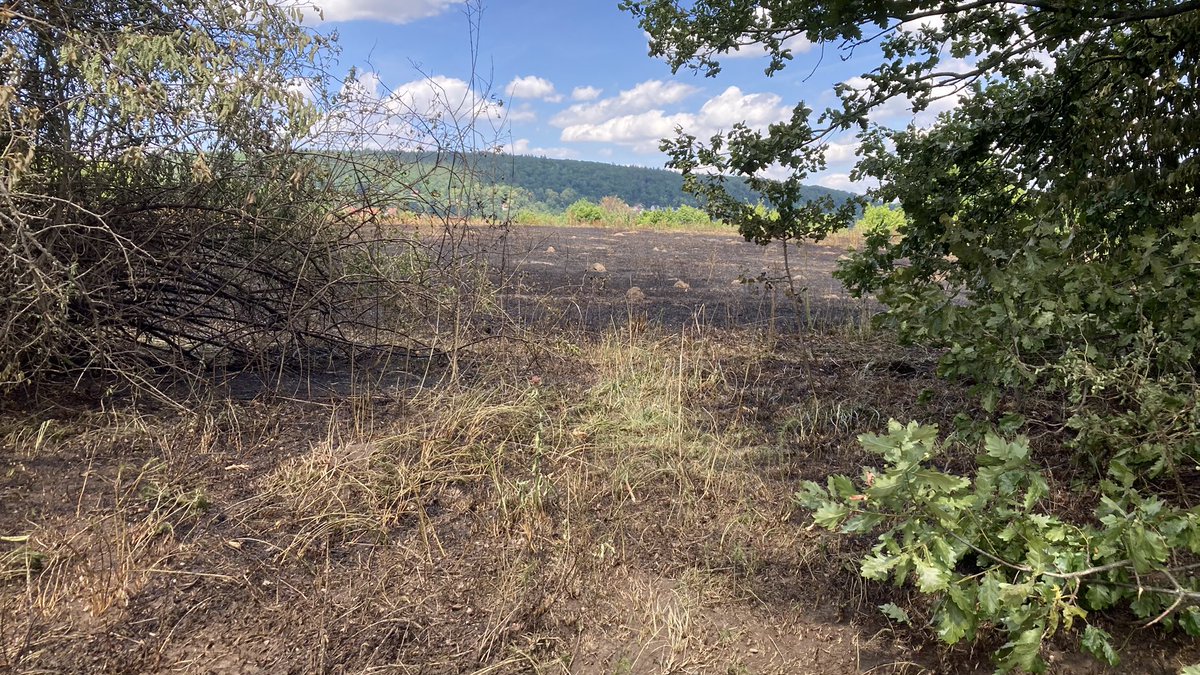 Modelamong #StandWithUkraineAndIsrael🇺🇦🇮🇱 💉📯 tweet media