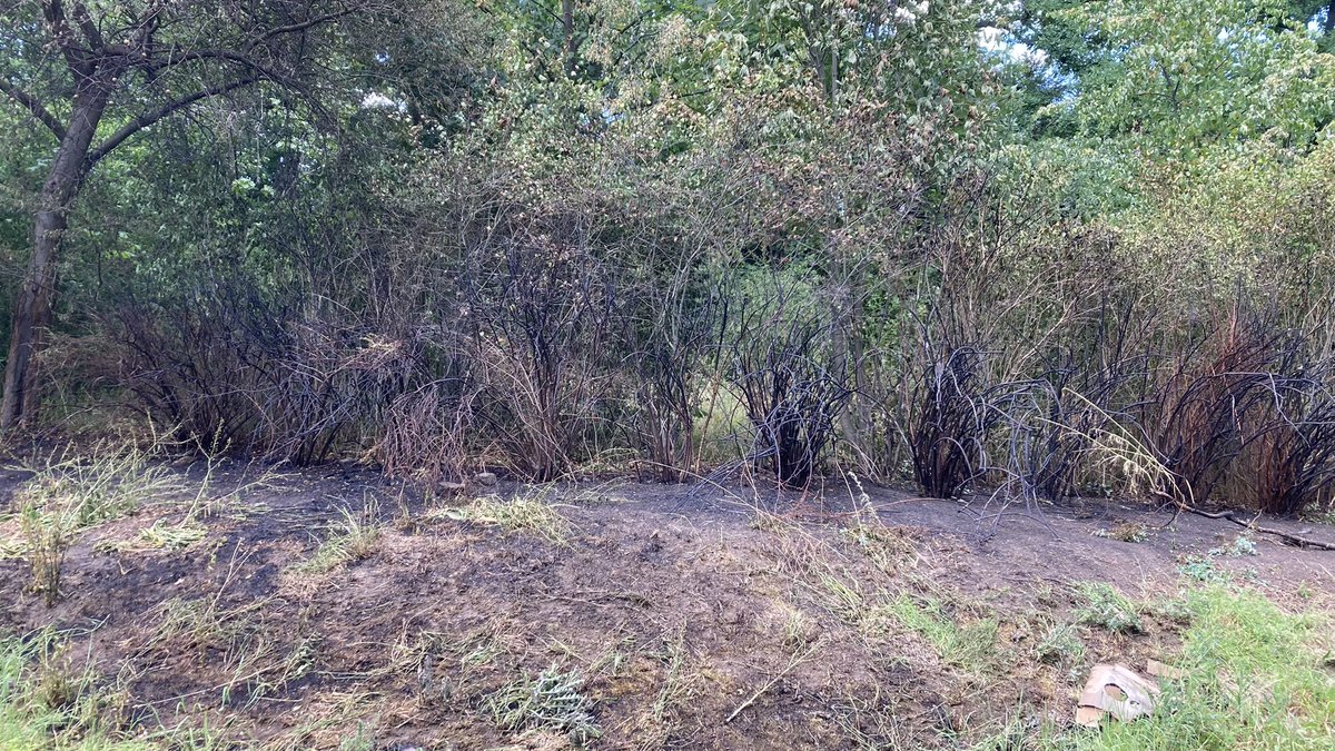 Modelamong #StandWithUkraineAndIsrael🇺🇦🇮🇱 💉📯 tweet media