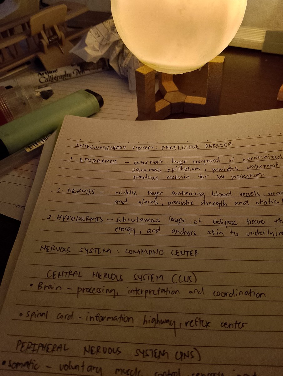 jelstudy_'s tweet image. #studytwt yesterday and today !🍰

robinson, jollibee and notes :')

#studytwtph #lifetwt