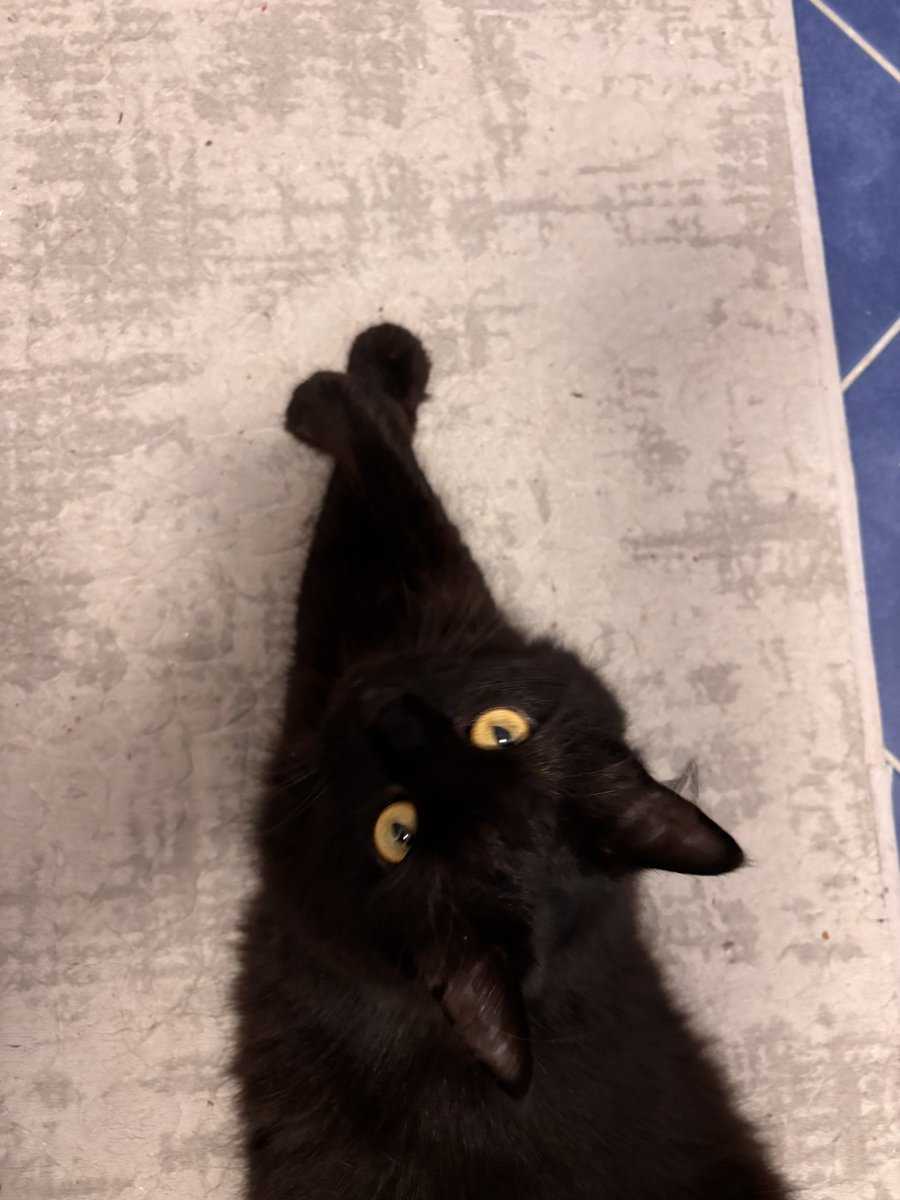 Bi bira açıp şu şekil uzanıp dikicem kafaya gündemi kaldıramıyoru