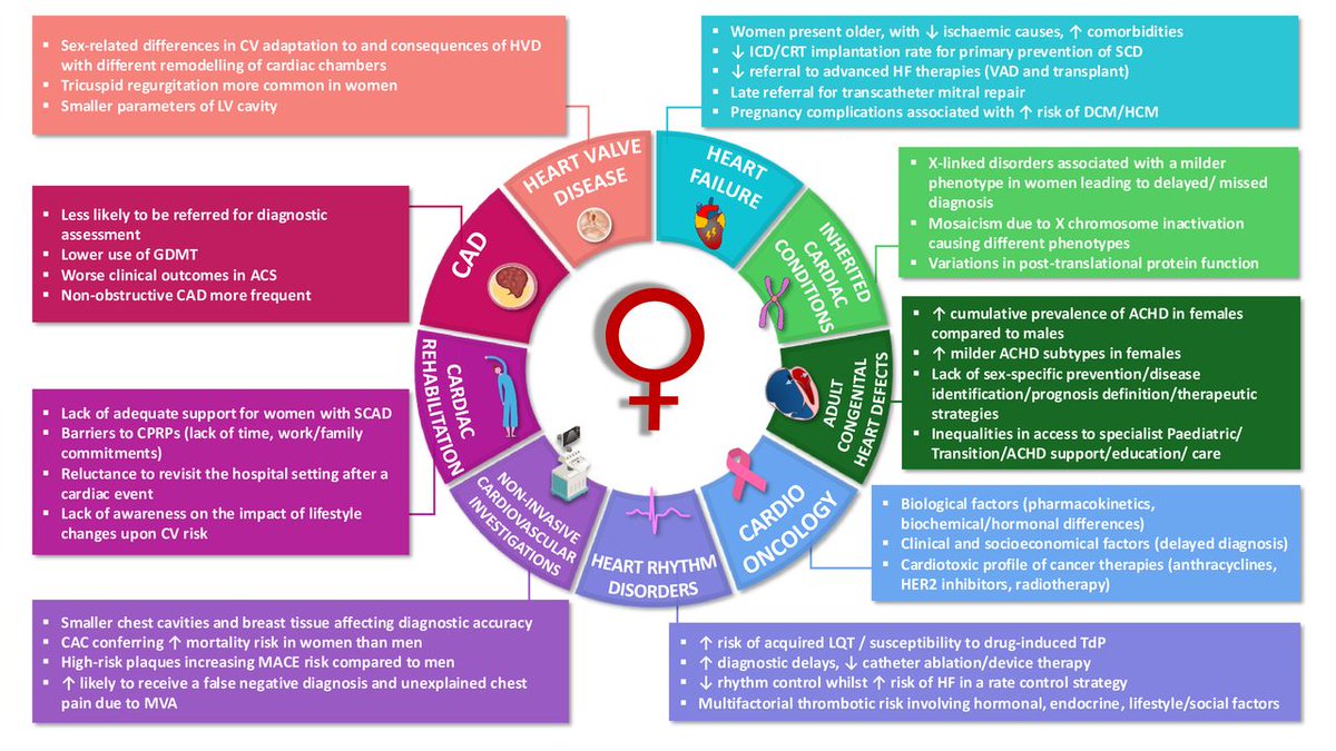 Women As One (@womenas1) on Twitter photo 🫀 CVD is the #1 killer of women worldwide, yet they remain underdiagnosed, undertreated & underrepresented in trials.
This <a href="/BritishCardioSo/">British Cardiovascular Society</a> report calls attention to the sex-based disparities in diagnosis & treatment in the UK.
🔗 heart.bmj.com/content/110/22…
#CardioTwitter 🫀 CVD is the #1 killer of women worldwide, yet they remain underdiagnosed, undertreated & underrepresented in trials.
This <a href="/BritishCardioSo/">British Cardiovascular Society</a> report calls attention to the sex-based disparities in diagnosis & treatment in the UK.
🔗 heart.bmj.com/content/110/22…
#CardioTwitter