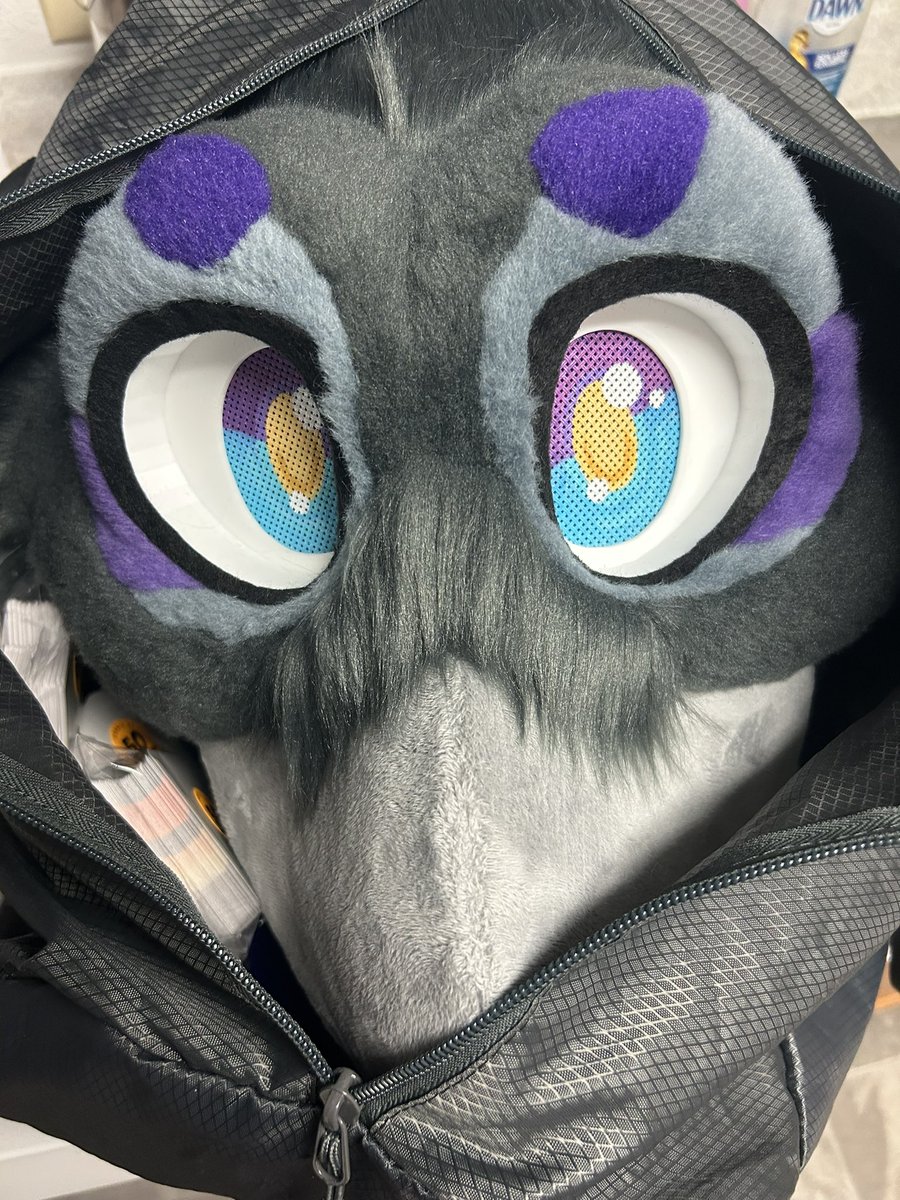 You’ll be able to spot a wild magpie at the con space in ~an hour. Come give me a hug :&gt;