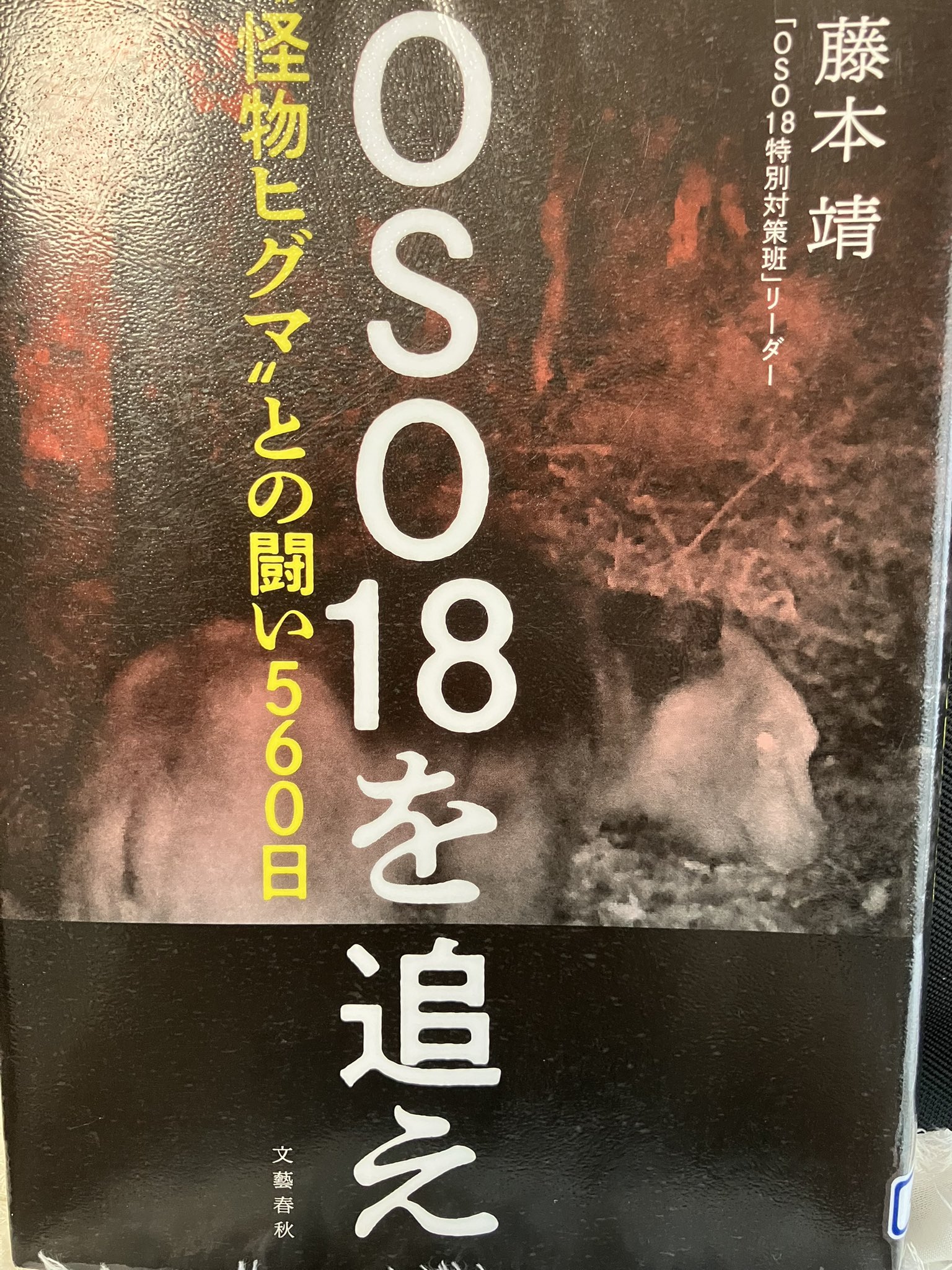 みつい on X: 