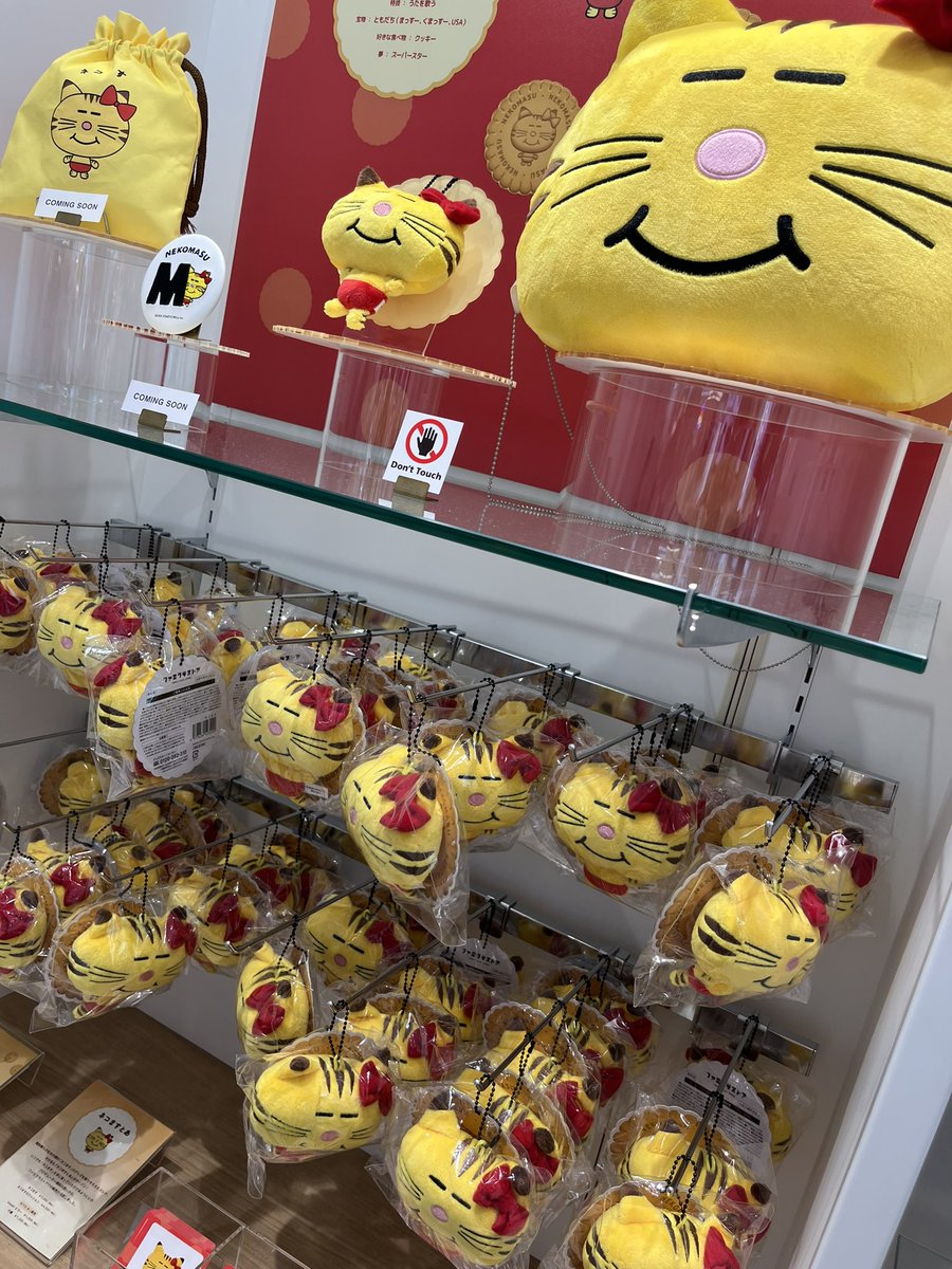 pon0915kmk's tweet image. まっすーのお誕生日の日に
まっすーがプロデュースした
ネコますをお迎えできるなんて
幸せすぎる
妹と姪っ子に渡す分も買えてよかった💛
#増田貴久誕生祭2025
#ネコます
#ネコますとあ