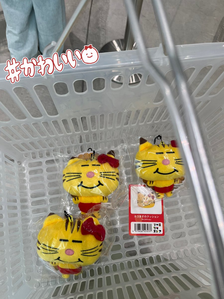 pon0915kmk's tweet image. まっすーのお誕生日の日に
まっすーがプロデュースした
ネコますをお迎えできるなんて
幸せすぎる
妹と姪っ子に渡す分も買えてよかった💛
#増田貴久誕生祭2025
#ネコます
#ネコますとあ