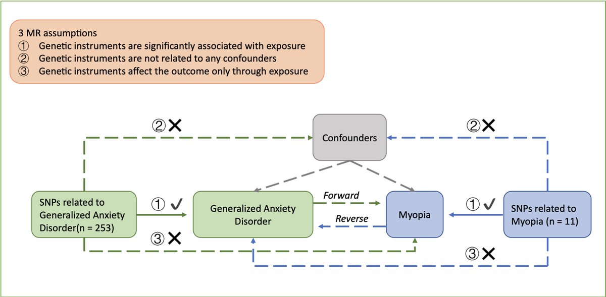 The Association between Myopia and Anxiety: a bidirectional two-sample Mendelian randomization study
ow.ly/B8YM50W0o7J
#ophthalmology # myopia