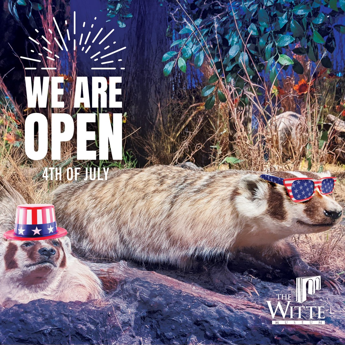 Happy Fourth of July! 🎆
Fireworks aren’t the only thing worth seeing—swing by the Witte and get wild with us this Independence Day! 🐍🇺🇸