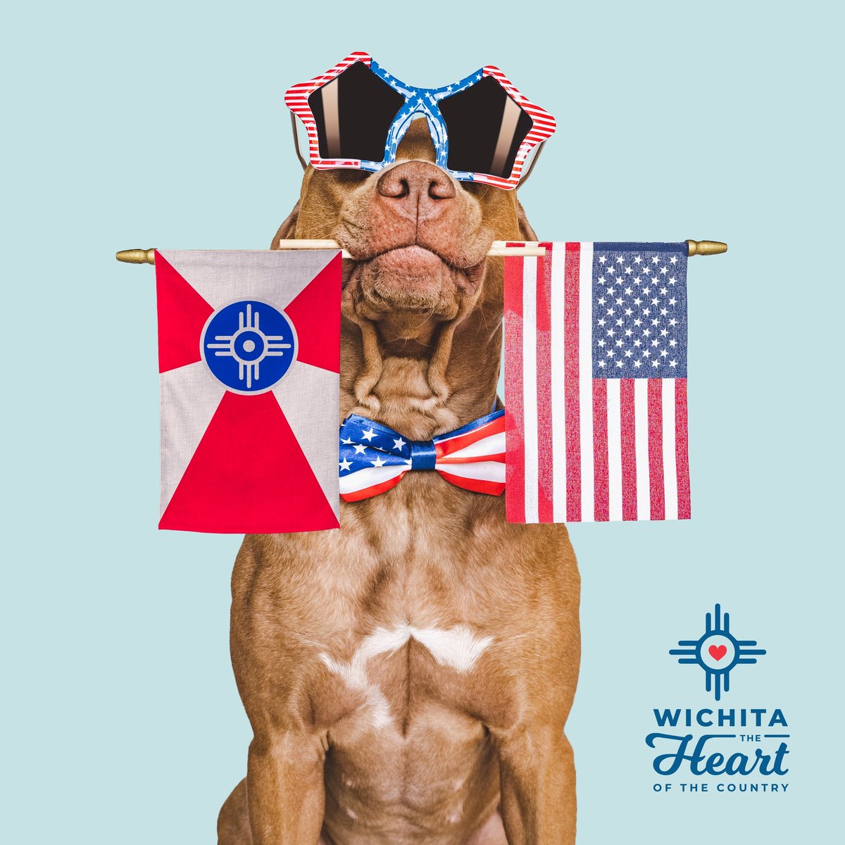 We hope everyone has as cool of a Fourth as this dog looks. Have a safe and fun-filled July 4!
Learn more: bit.ly/2x2XShW

#VisitWichita #HeartoftheCountry #IndependenceDay #July4