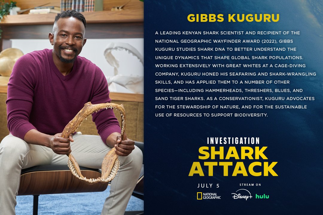 Get to know the investigative team behind Investigation Shark Attack — a panel of leading shark experts, marine biologists, and forensic specialists who dive deep into the how and why of real shark encounters. 🦈🔎

Over the next week, they’ll uncover the truth behind six