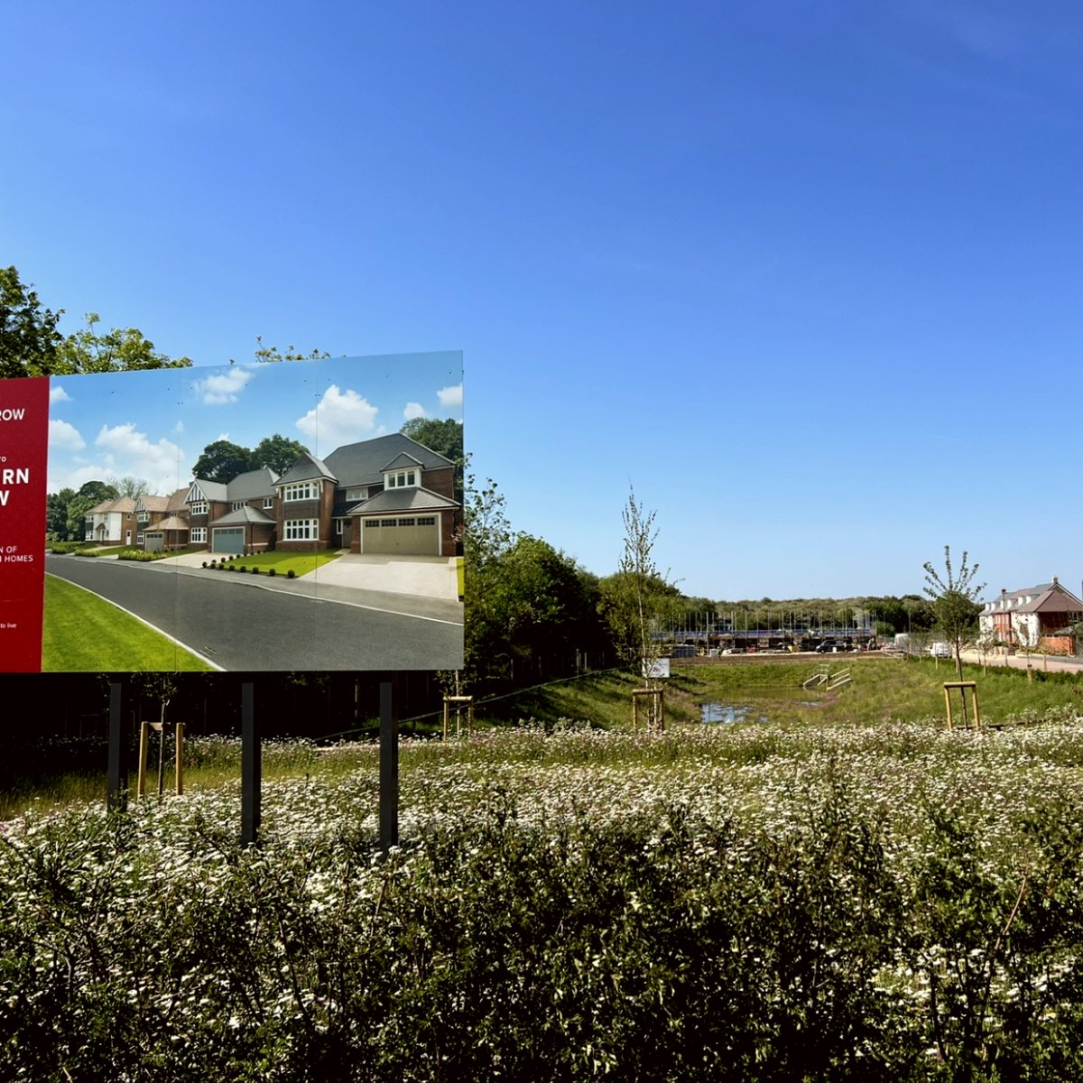 George Davies Turf tweet media