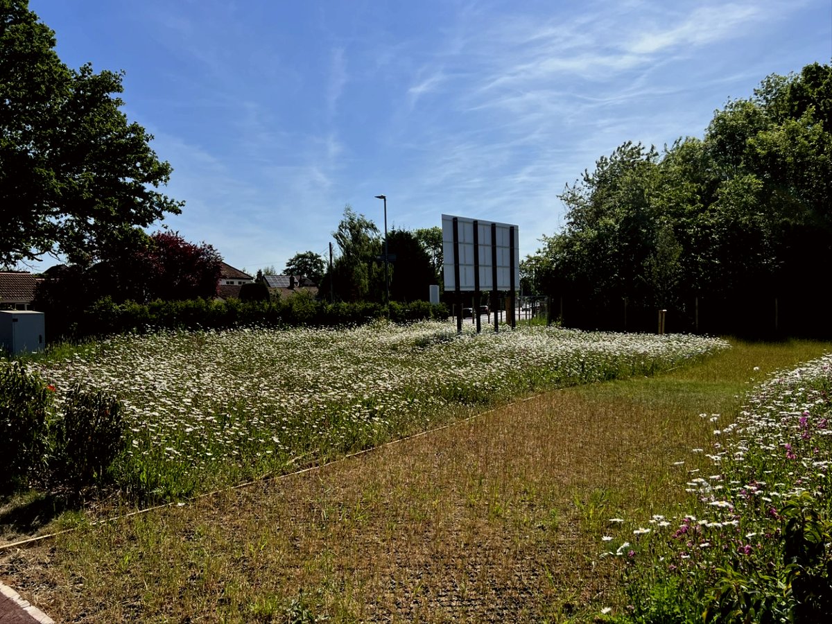 George Davies Turf tweet media