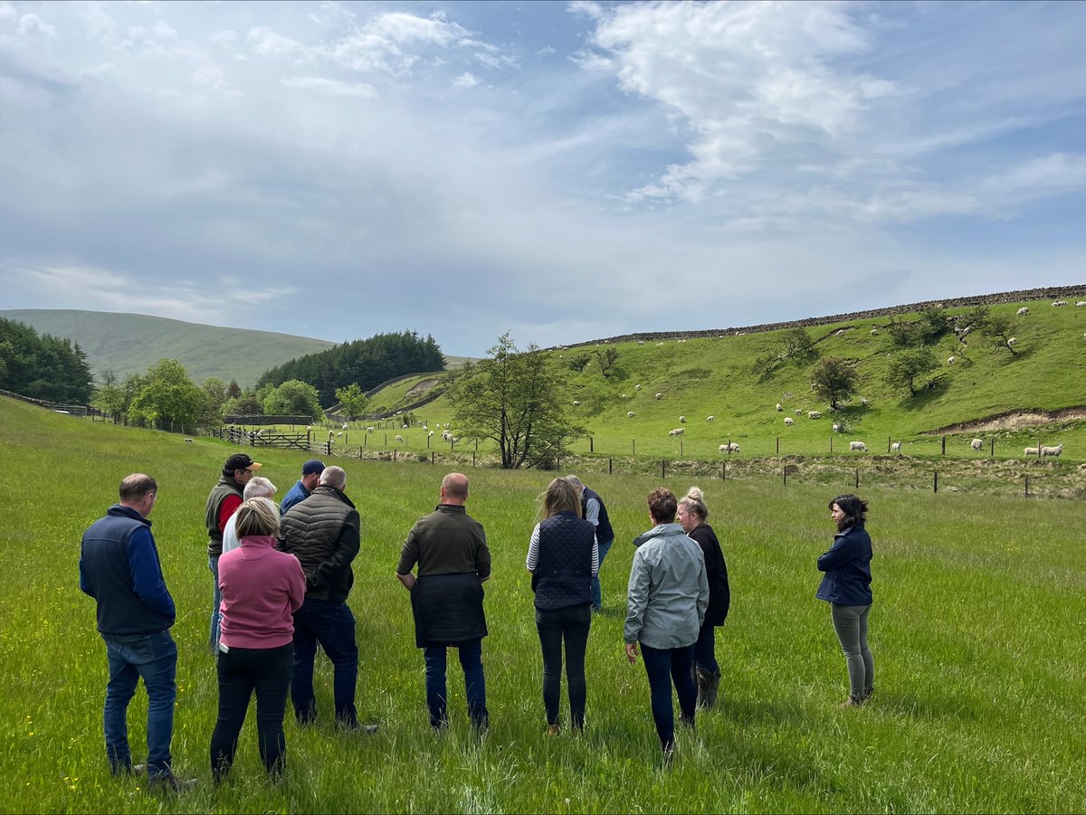 DunbiaGroup's tweet photo. The ASDA-Dunbia Lamb Group held a regional meeting in Cumbria,hosted by the Curr family,featuring guest speaker Andrew Dyer discussing biodiversity topics including herbal leys, soil microbes, integrated pest management&flock health
Thanks AHDB & Promar for supporting!
#FarmGreen https://t.co/g8WgREyQca