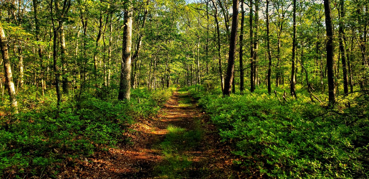 Schools out! Back to the hiking! <a href="/DiscoverLINY/">Discover Long Island</a> <a href="/longislandpatch/">Long Island Patch</a> <a href="/News12Weather/">News 12 Weather</a> <a href="/GarofaloWX/">Meredith Garofalo</a> <a href="/LorinOnTV/">Lorin Richardson</a> <a href="/SamanthaAugeri/">Samantha Augeri</a> <a href="/AddisonGreenWX/">Addison Green</a> <a href="/StormHour/">#StormHour</a> <a href="/ThePhotoHour/">#ThePhotoHour</a> <a href="/longisland/">Long Island</a> <a href="/hoffmanrich/">RichHoffmanWeather</a>  <a href="/WeatherGeoff/">Geoff Bansen, CBM</a>