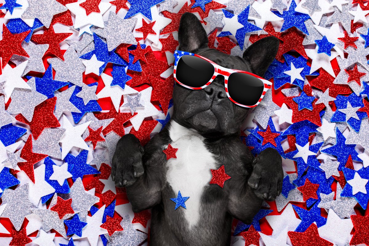 Best wishes for a happy and relaxing July 4th Holiday from Rogue Tulips Consulting.