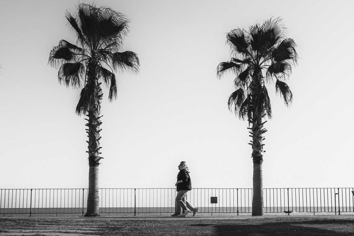<a href="/ccubetez/">сcube ıı</a> Happy Friday Cube!

Two Palms 🌴🌴
1/1 @ 39 XTZ

#TezPhotoThread 

<a href="/ritchiesacra/">ritchiesacramento Mrs Sacramento's eldest</a> <a href="/mamaralic/">mamaralic</a>

objkt.com/tokens/KT1LQg9…