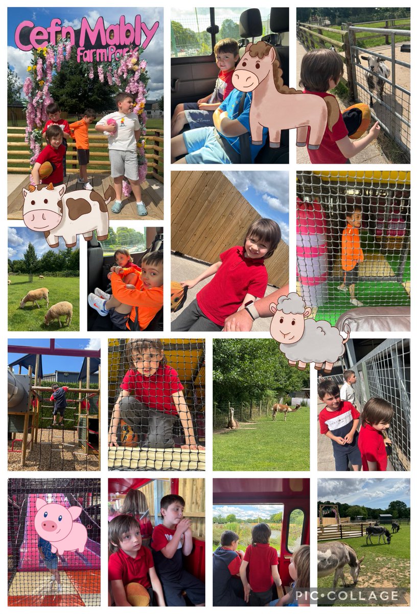 #YHFCLASS4 Had the best time at Cefn Mably Farm Park yesterday 😆☀️