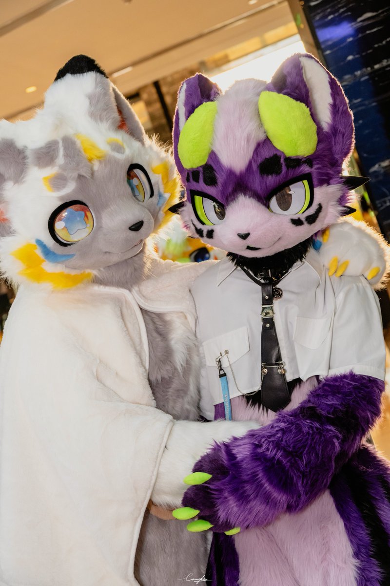 🍗＆🐯

🍗🌟🐶@星愿

📷<a href="/Longde233/">隆德-Londer</a> 

#FursuitFriday #FURSUIT #wwpass #万物通行 #hifurry