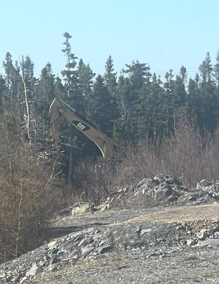 Hiding out!!! Shhhhh