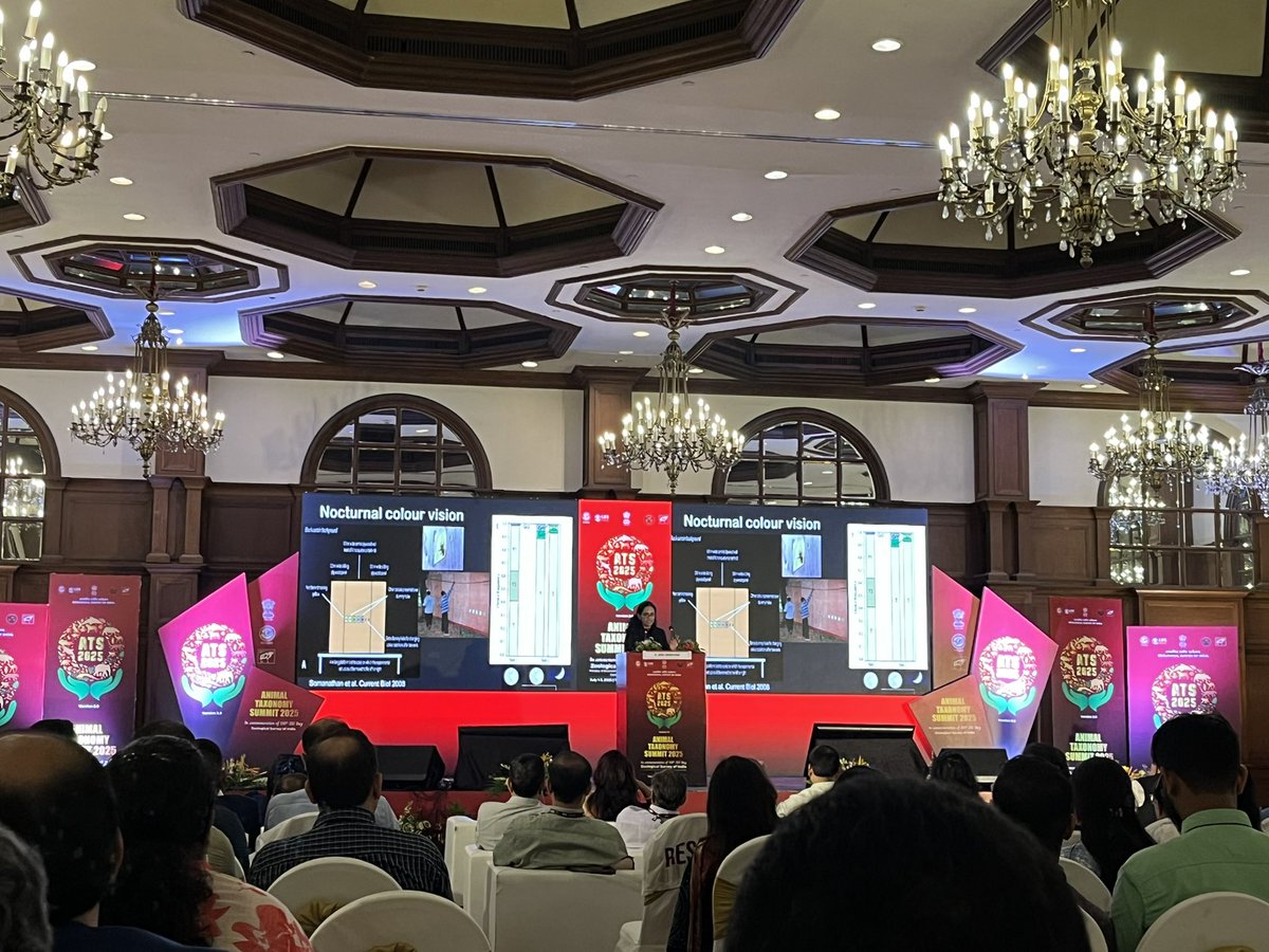 profrahulk's tweet image. I attended an interesting talk on “pollinators and our shared future” by Prof. Hema Somanathan, Head (Biology), @tvmiiser at Animal Taxonomy Summit 2025 organized by Zoological Survey of India, Kolkata. Bees are fascinating indeed!

@somanathan_hema @ZoologicalI @BEElab_iisertvm