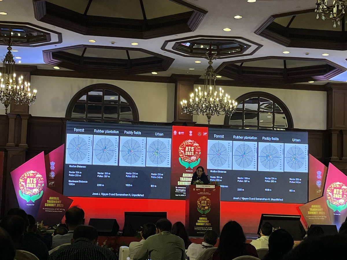 profrahulk's tweet image. I attended an interesting talk on “pollinators and our shared future” by Prof. Hema Somanathan, Head (Biology), @tvmiiser at Animal Taxonomy Summit 2025 organized by Zoological Survey of India, Kolkata. Bees are fascinating indeed!

@somanathan_hema @ZoologicalI @BEElab_iisertvm