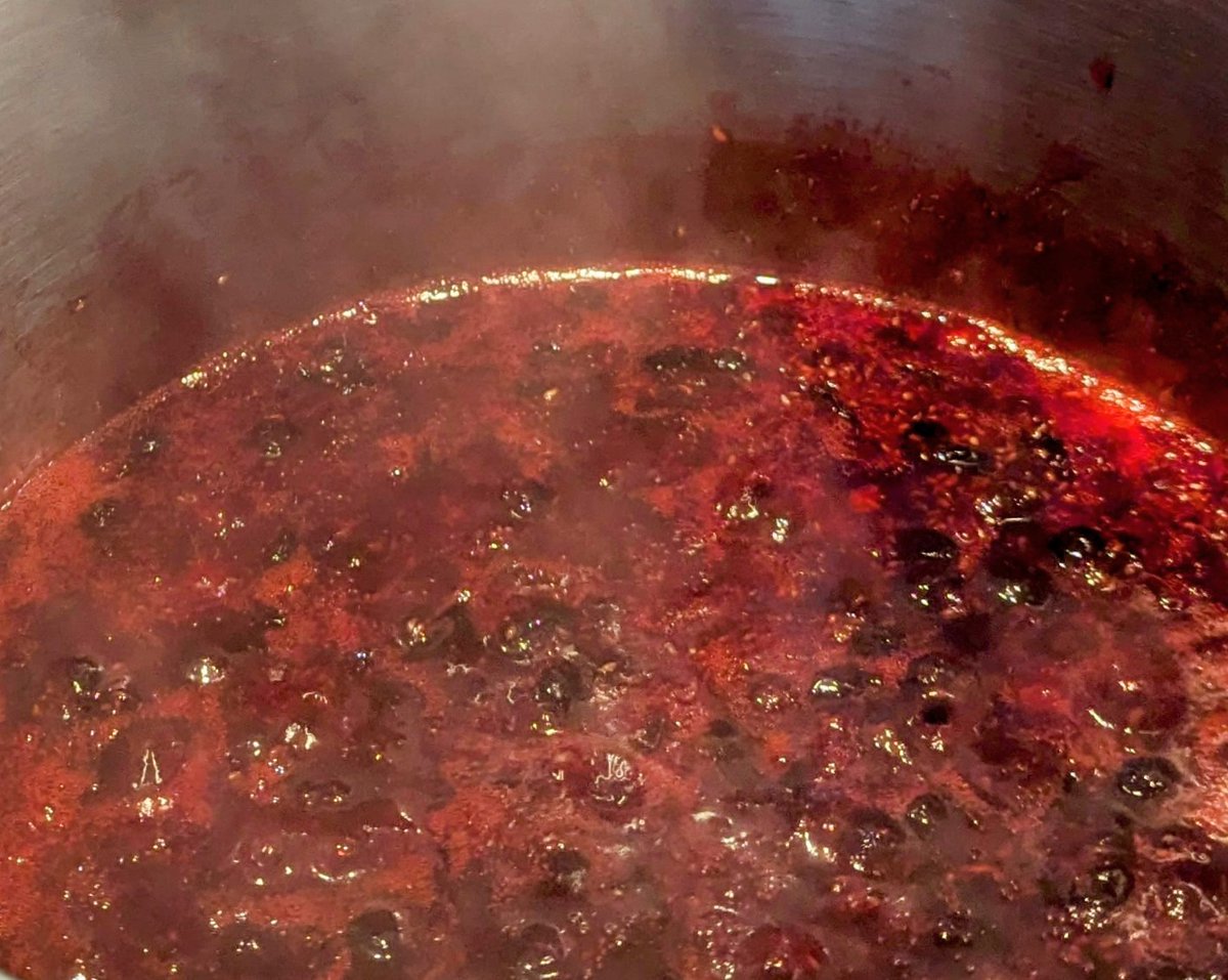 RedRiverCroft's tweet image. It's that time of year again... making jammy magic from the haul of blackcurrants 🥰
This year it's a week early, and two weeks earlier than in 2023!