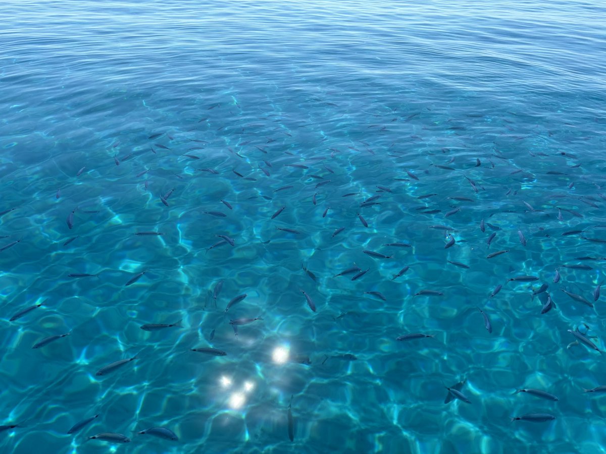 M'ko(ㅇㅅㅇ❀)draws tweet media