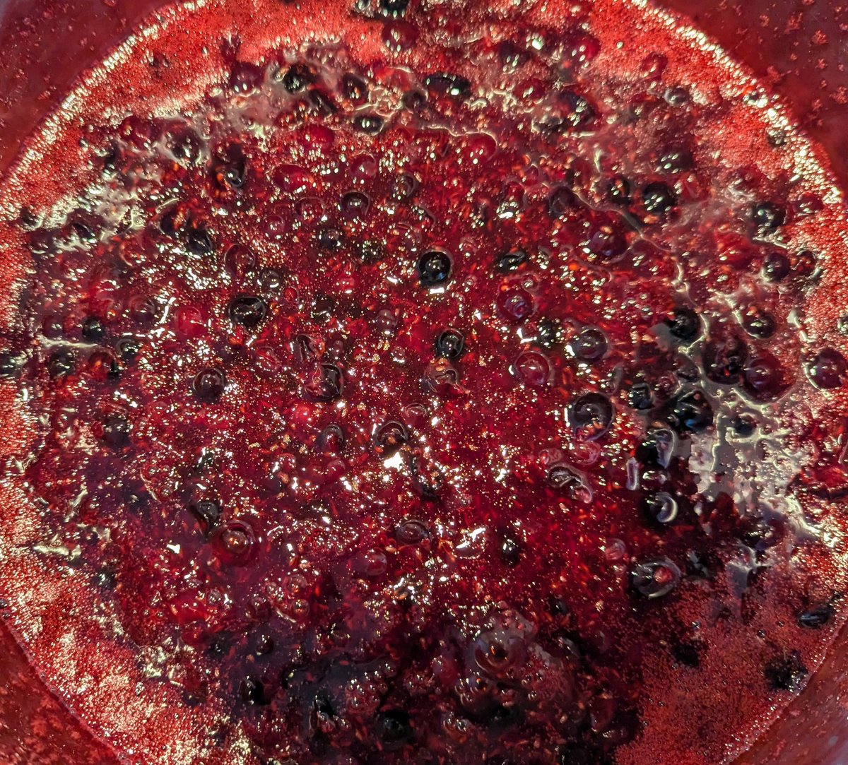 RedRiverCroft's tweet image. It's that time of year again... making jammy magic from the haul of blackcurrants 🥰
This year it's a week early, and two weeks earlier than in 2023!