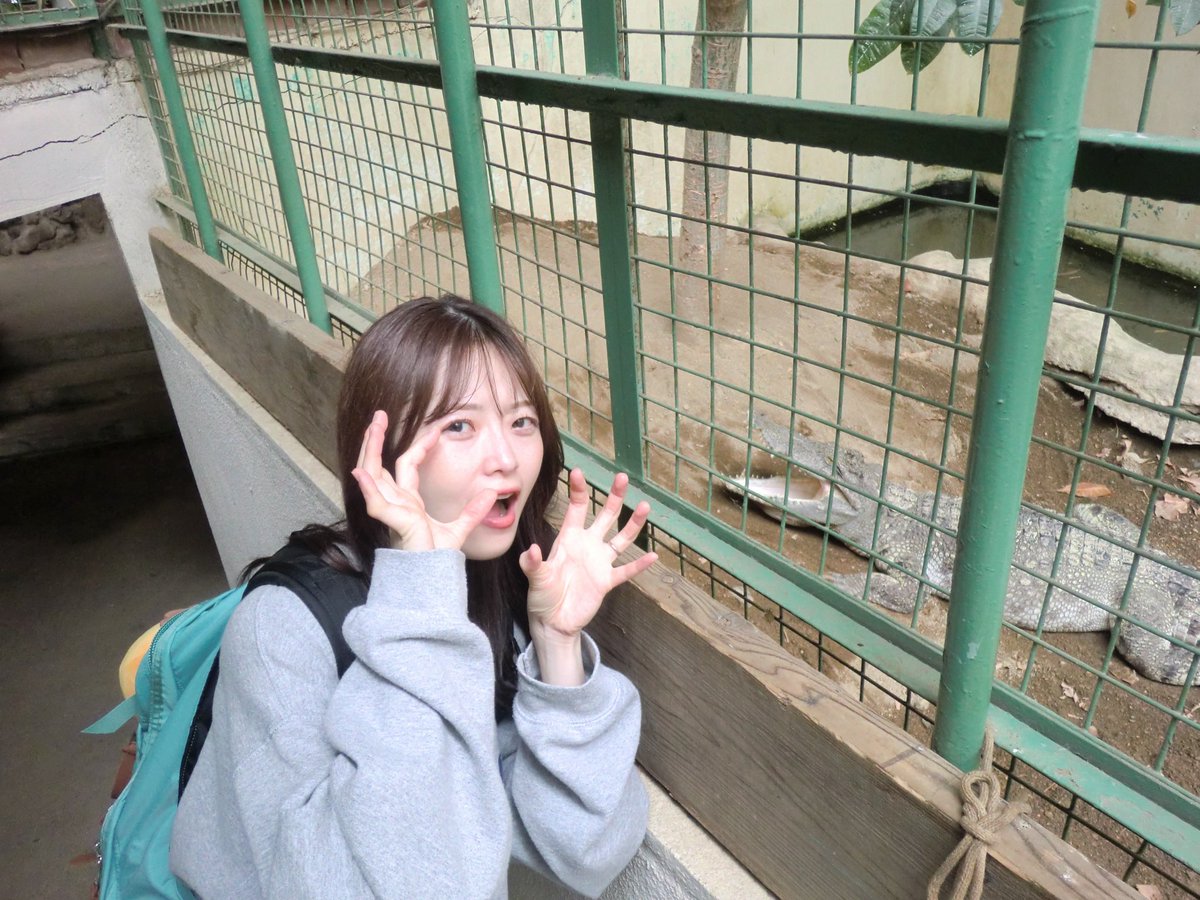 ssmnms3124's tweet photo. とある熱帯園にて https://t.co/1q1BK5TD9a