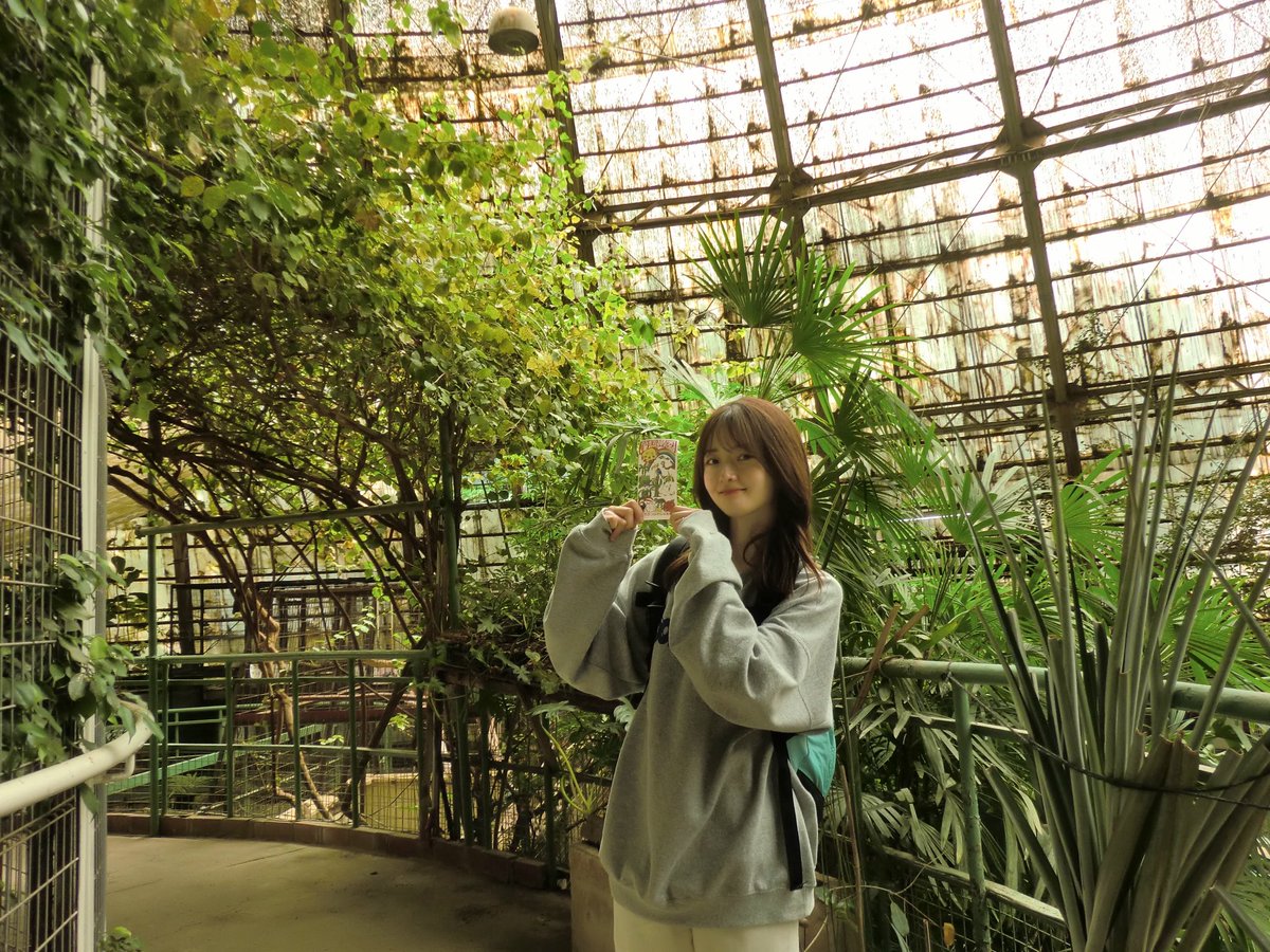 ssmnms3124's tweet photo. とある熱帯園にて https://t.co/1q1BK5TD9a