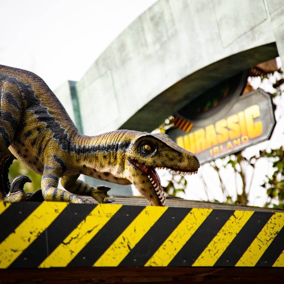 JardindAcclim's tweet image. 🦖Avant de les retrouver dans les salles de cinéma du monde entier, les dinosaures ont envahi le #jardindacclimatation...
Faites le plein de frissons avec nos attractions virtuelles Jurassic Island : VR Xperience et Jurassic Island : 360° Xperience
#jurassic #dinosaures