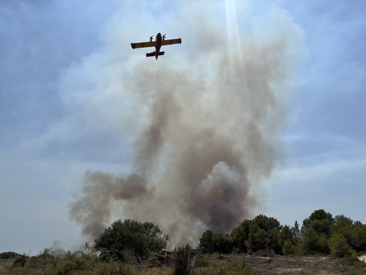 #Incendie|| CASTELNAU DE GUERS 
200 sapeurs-#pompiers de l’#Hérault sont engagés depuis le début de l’après-midi pour un feu de pinède🌳🌳   
🔺4 #canadair mobilisés en renfort des personnels au sol Le🔥a parcouru 30 hectares Feu fixé <a href="/Gendarmerie_034/">Gendarmerie de l'Hérault</a> sur place #InfoFlash