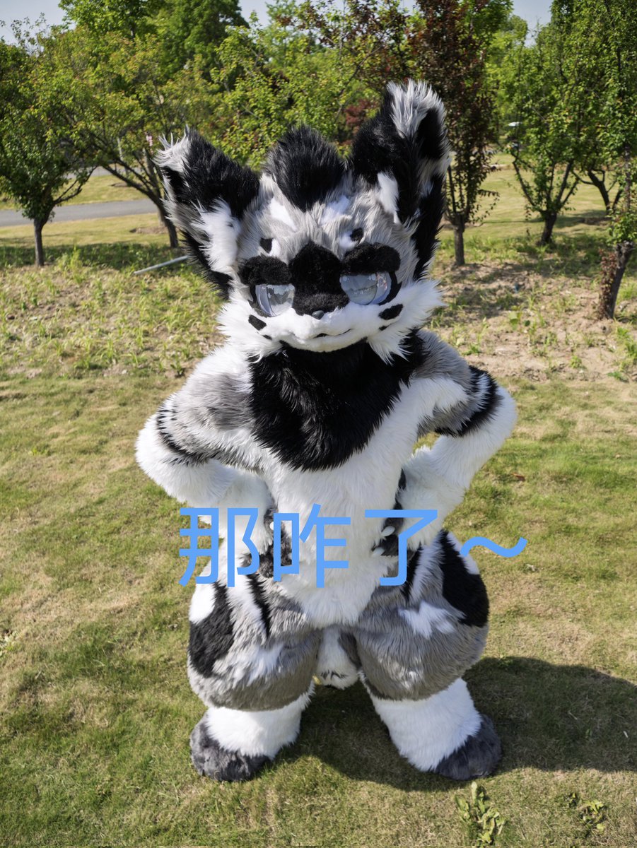 furrywuming's tweet photo. #FursuitFriday
那咋了～
#furry #fursuit #fursuiter https://t.co/F3OZzUD8hj
