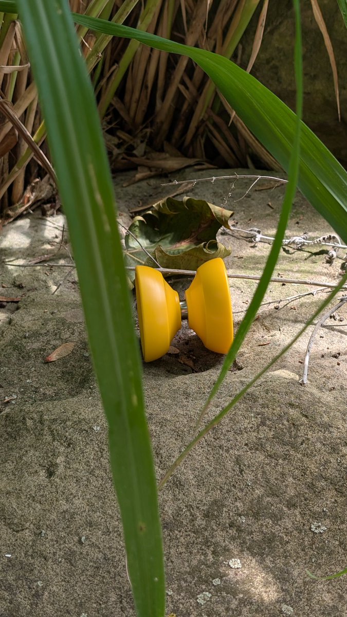 DresselDesigns tweet media