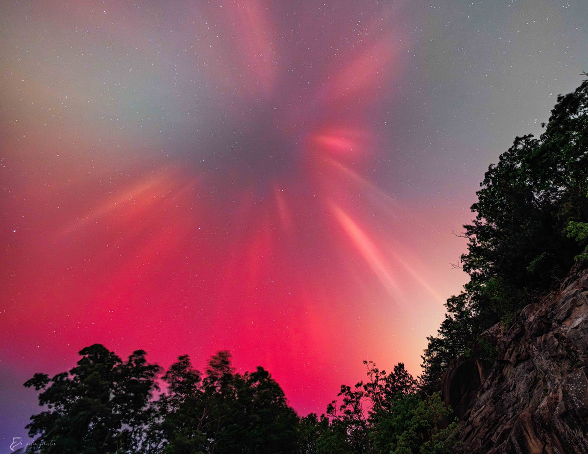 Nature's best fireworks 🎆

Happy 4th of July!!