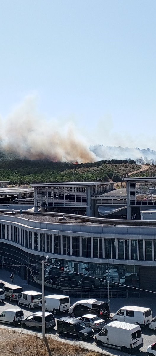 Bir takipçim paylaştı resmi..

Gebze Mutlukent civarı yangın başladı.

Neyle sınanıyoruz bilmiyorum ama bu kadarı çok fazla.. 

Ülkede her gün yeni bir gündem, huzurlu bir günümüz yok..