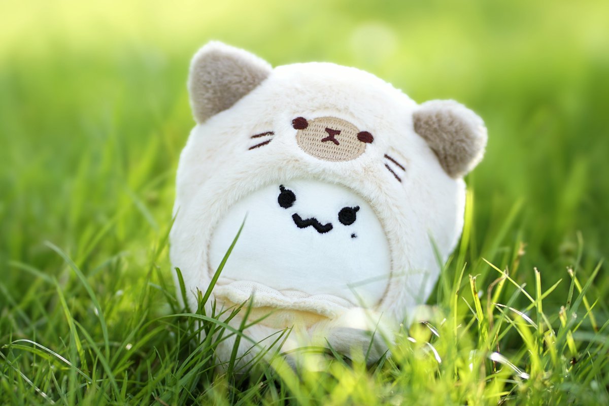 INVU_0000's tweet image. Hi friends 👋